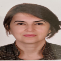 Sayad KOCAHAN, PhD., Professor